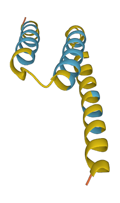 SMIM10L2B 3D structure