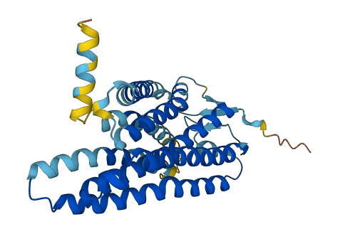 OR13C7 3D structure