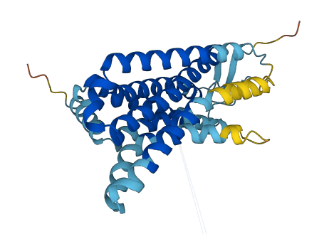 OR12D1 3D structure