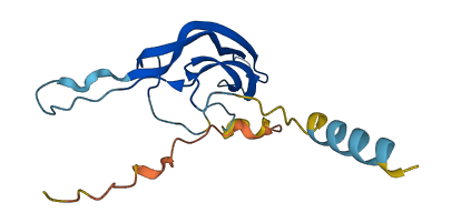 CGB3 3D structure