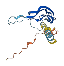 CGB7 3D structure
