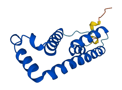 Tmem254b 3D structure