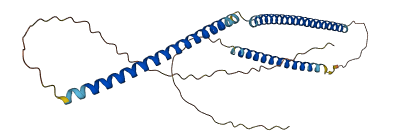 CCDC192 3D structure