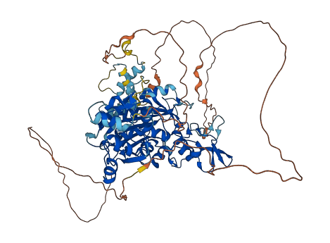 Dnmt3c 3D structure