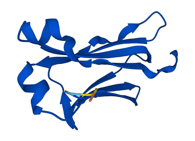 IGLC2 3D structure