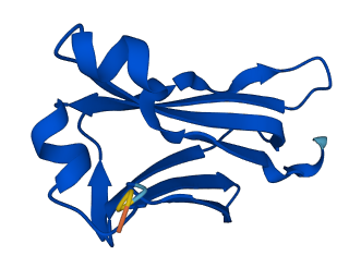 IGLC3 3D structure