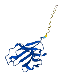 IGHV1-8 3D structure