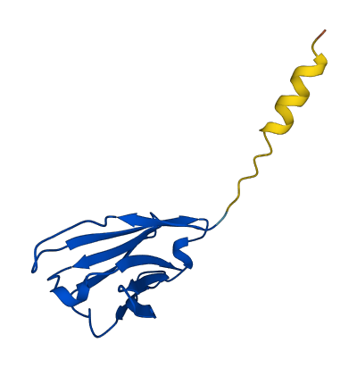IGHV3-30-3 3D structure
