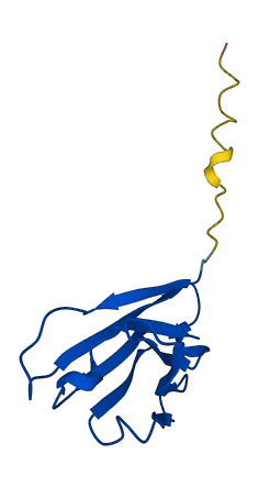 IGHV3-30-5 3D structure