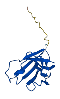IGHV3-43D 3D structure