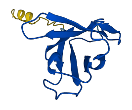 IGHV4-31 3D structure