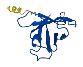 IGHV4-38-2 3D structure