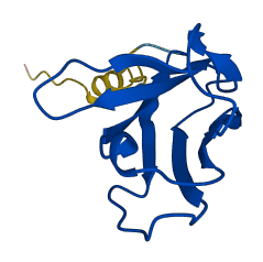 IGKV1-13 3D structure