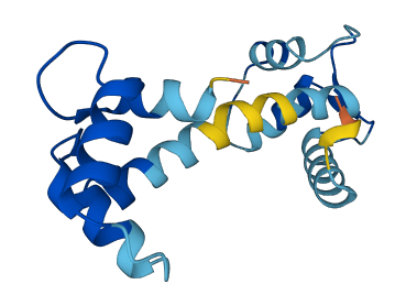CALM3 3D structure