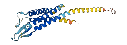 TMEM225B 3D structure