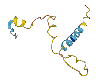 FAM236C 3D structure