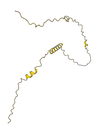 MED14OS 3D structure