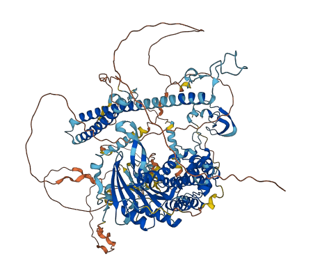 ERCC6 3D structure