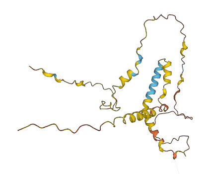 SNHG28 3D structure