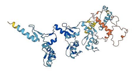 ZNF723 3D structure