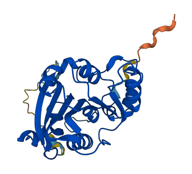 EEF1AKMT4 3D structure