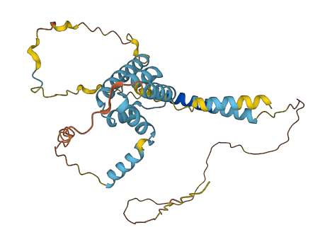 TMDD1 3D structure