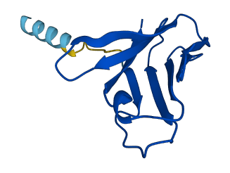TRAV35 3D structure