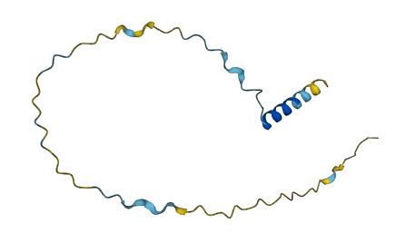 CXorf51B 3D structure