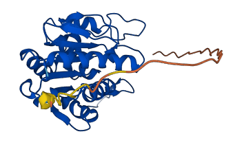 GATD3A 3D structure