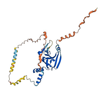 CENPVL2 3D structure