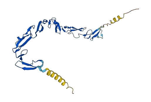 NOTCH2NLB 3D structure