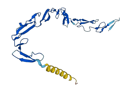 NOTCH2NLC 3D structure
