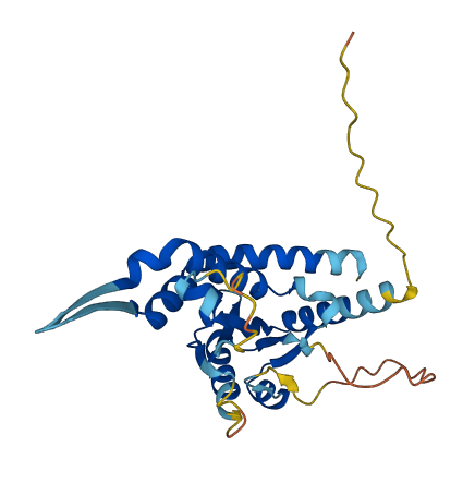 FAM243B 3D structure