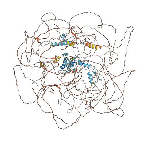 GLI2 3D structure