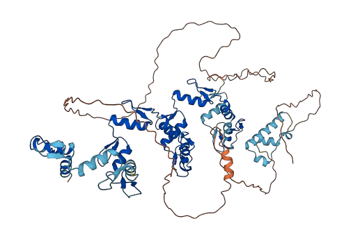 ZNF875 3D structure