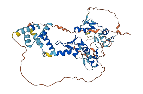 ZSCAN22 3D structure