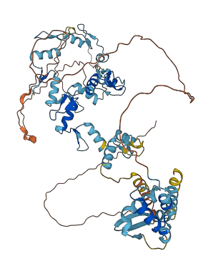ZBTB48 3D structure