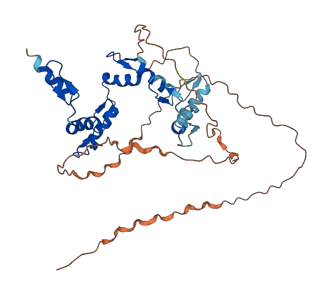 GLI4 3D structure