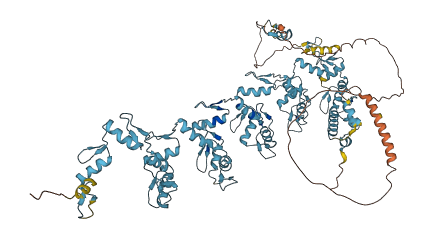 Zfp26 3D structure