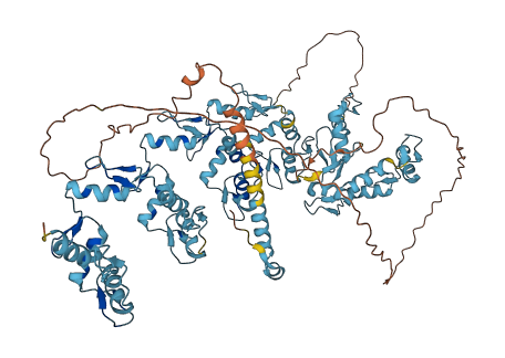 Zfp27 3D structure