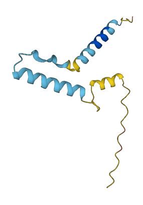 PYY 3D structure