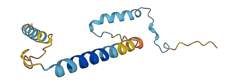 CALCB 3D structure