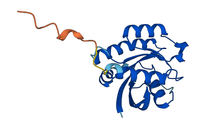 RAP2A 3D structure