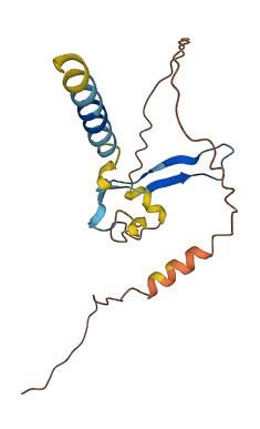 SRGN 3D structure