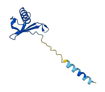 CXCL8 3D structure