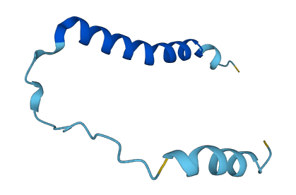 COX8A 3D structure