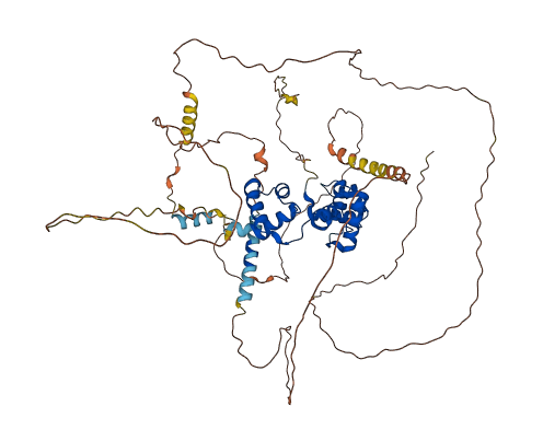 MYB 3D structure