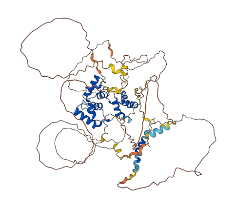 MYBL2 3D structure