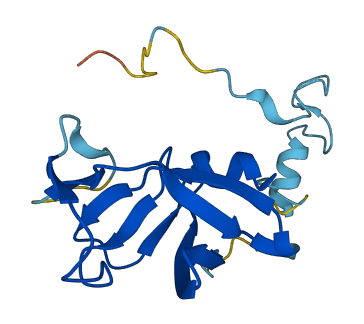 ERVK-10 3D structure