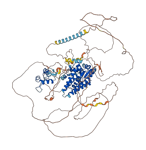 AR 3D structure